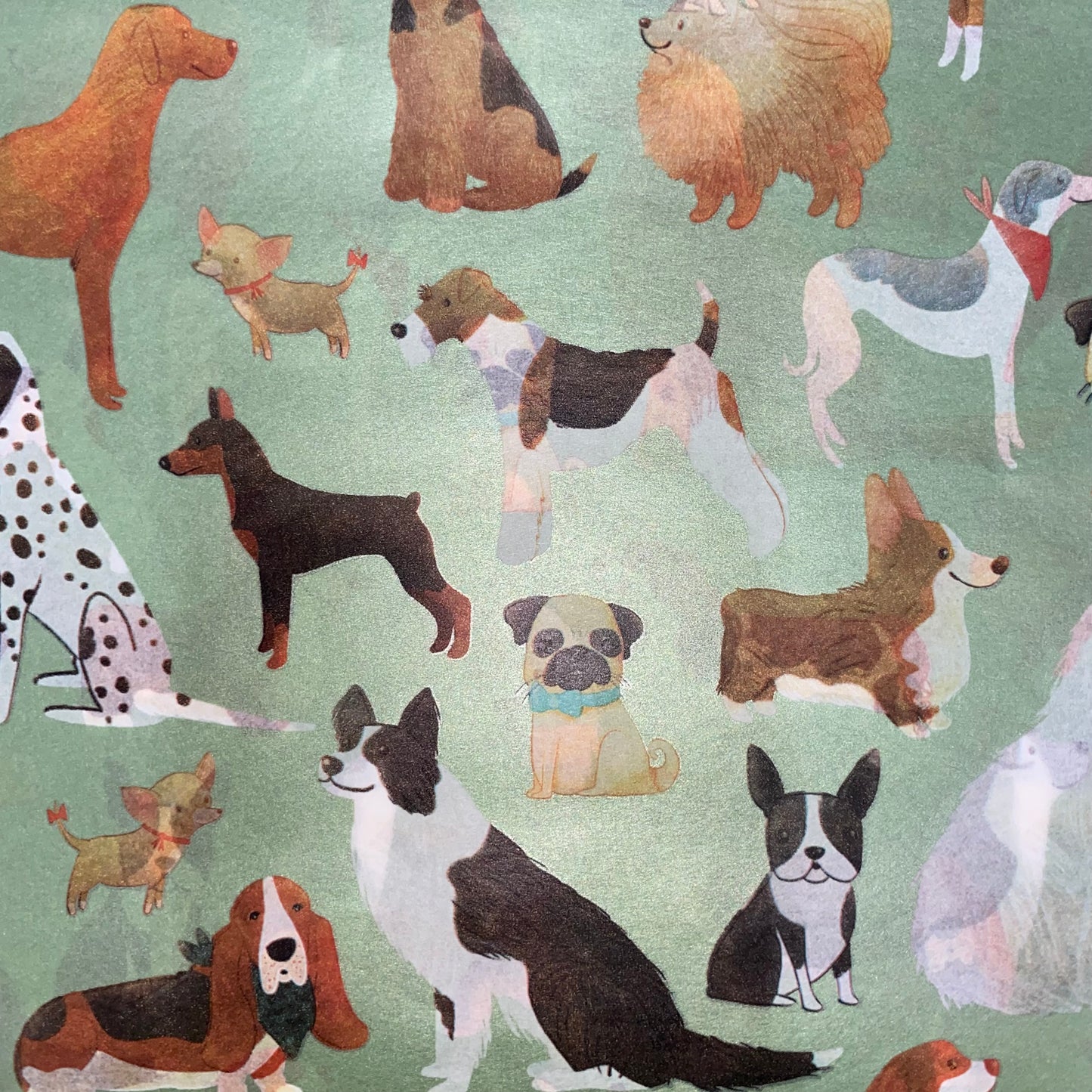 Papel China con Diseño 78 (24 pliegos)