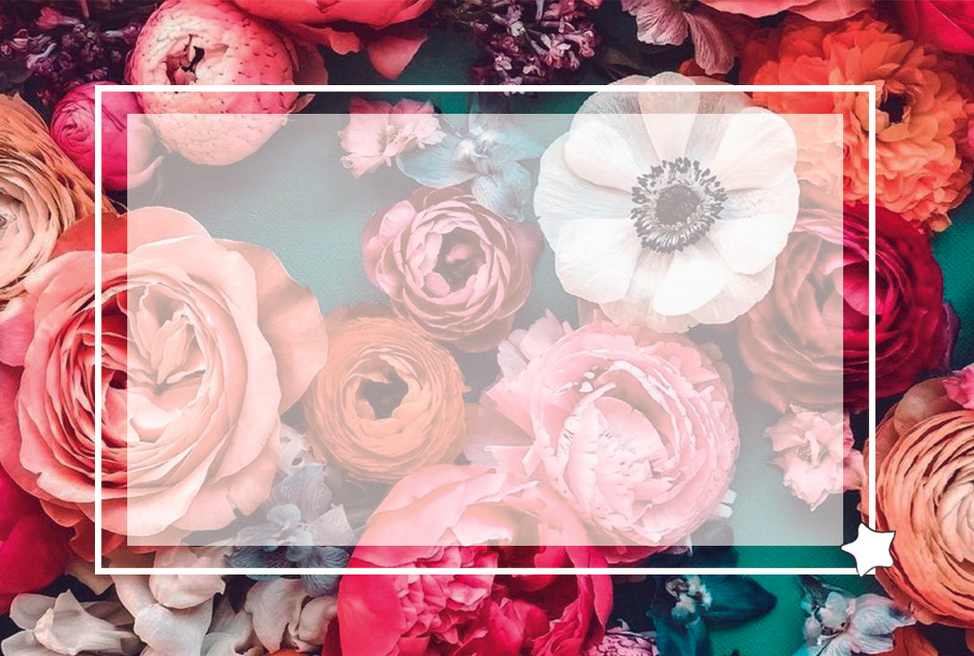 Tarjeta De-Para DPF-101