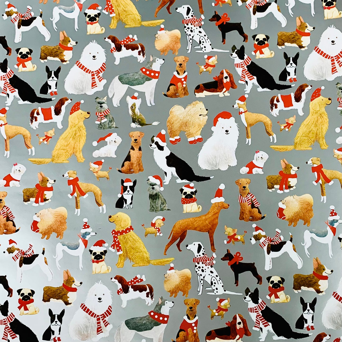 Papel de Regalo L5643