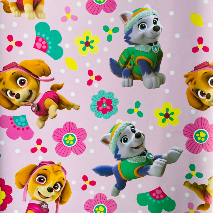 Papel de Regalo Personajes-163 (25 Pliegos
