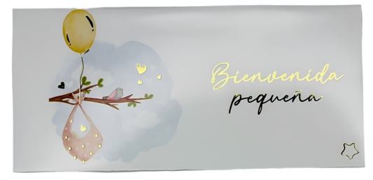 Sobres para dinero metalizado (5 pz)