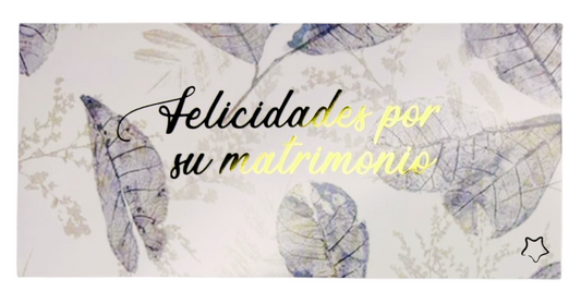 Sobres para dinero metalizado (5 pz)