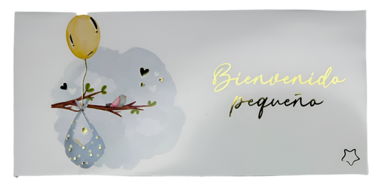 Sobres para dinero metalizado (5 pz)