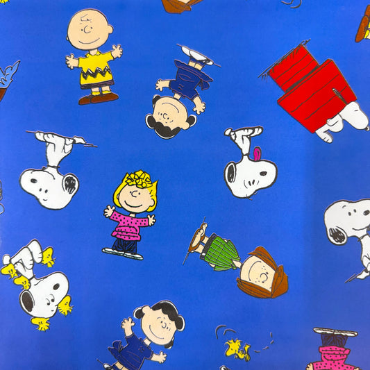 Papel de regalo en pliego - Personaje (25 Pliegos)