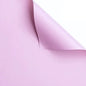 Papel Floral - Lisos CK-099