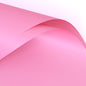 Papel Floral - Lisos CK-099