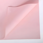 Papel Floral - Lisos CK-099