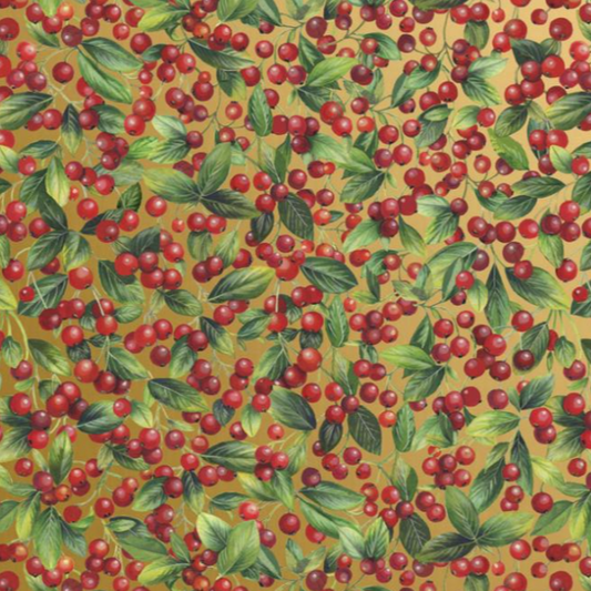 Papel de Regalo E5841