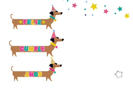 Tarjetas De-Para DPC-174