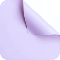Papel Floral - Lisos CK-099