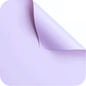 Papel Floral - Lisos CK-099