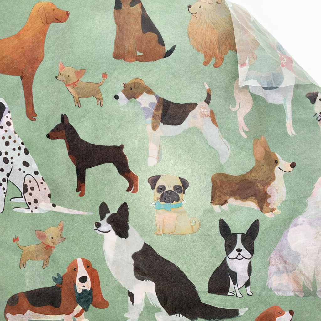 Papel China con Diseño 78 (24 pliegos)