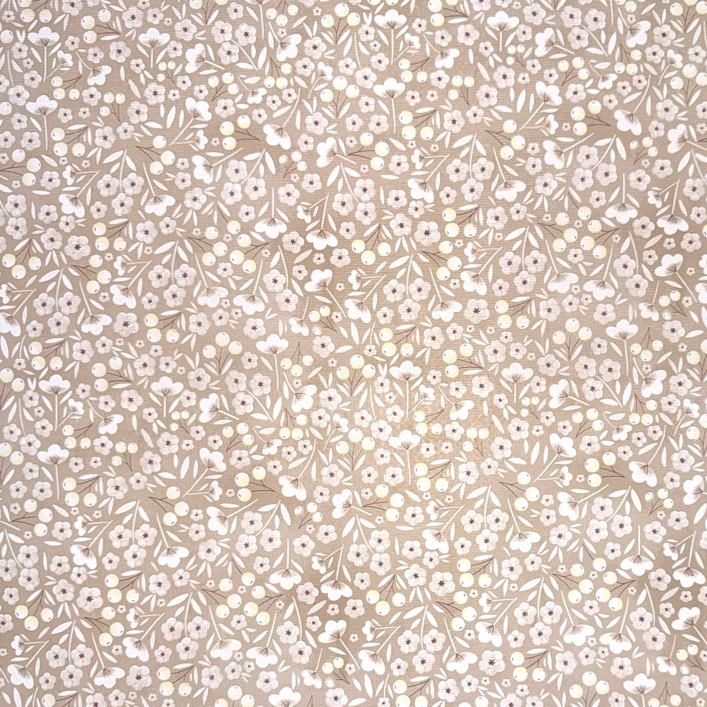 Papel de Regalo L5033