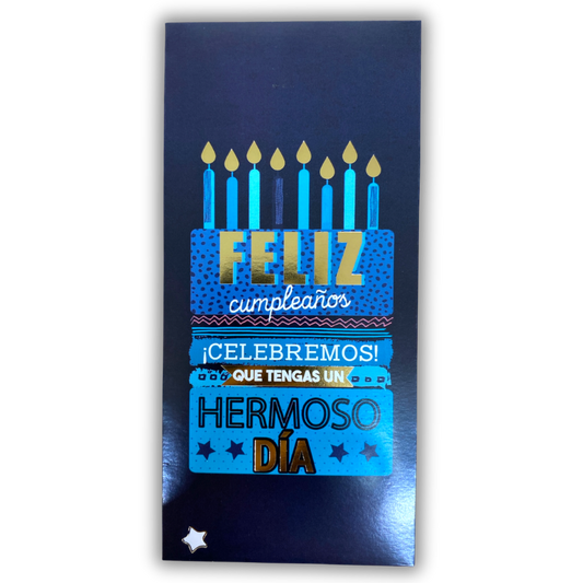 Sobres para dinero metalizado (5 pz)