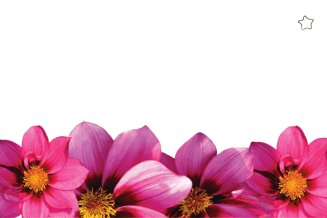 Tarjeta De-Para DPF-12