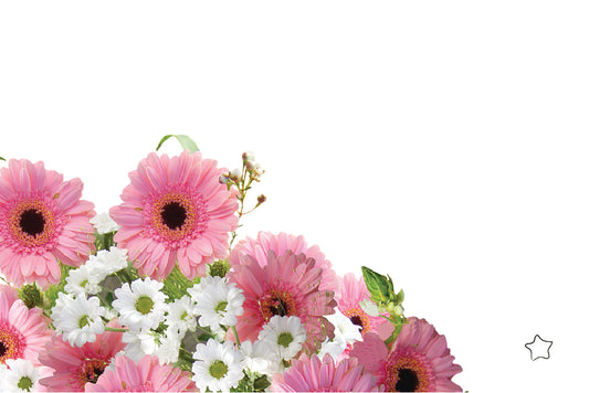 Tarjeta De-Para DPF-13