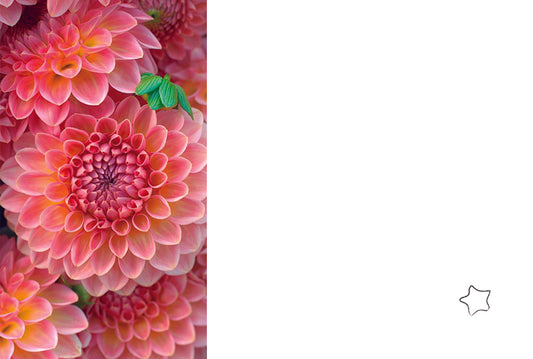 Tarjeta De-Para DPF-139