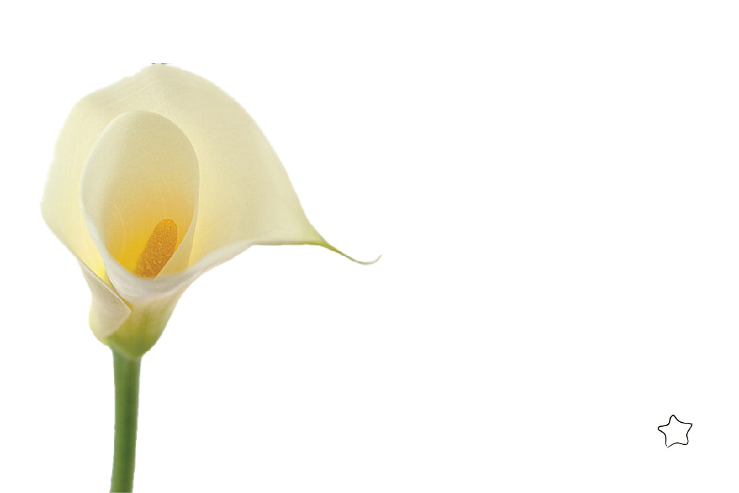 Tarjeta De-Para DPF-20