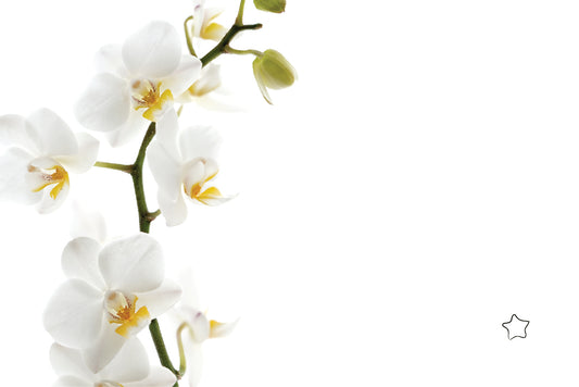 Tarjeta De-Para DPF-7