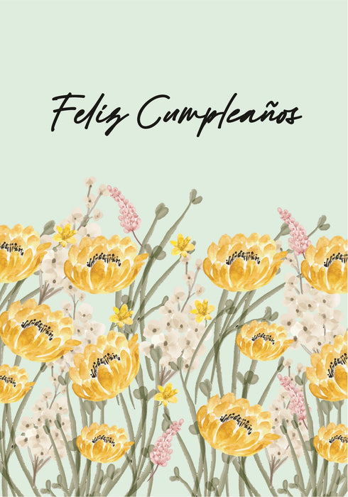 Tarjeta Cumpleaños TC147 (3pz)