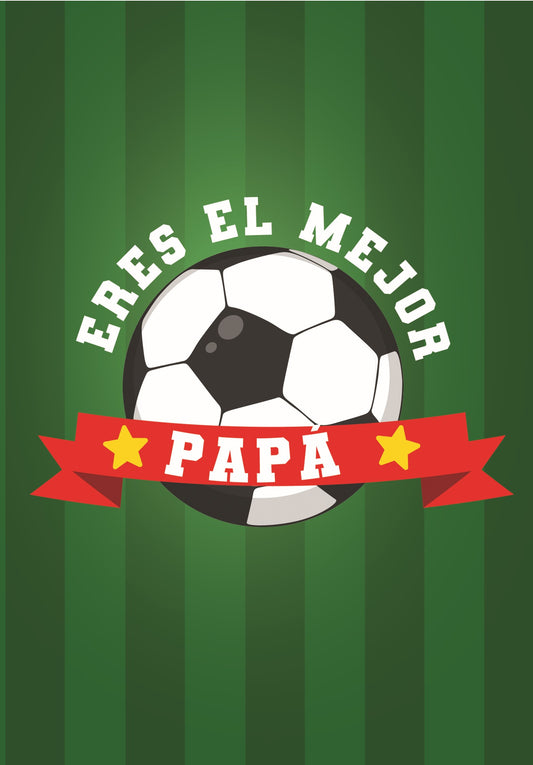 Tarjeta Día del Padre TADDP-119
