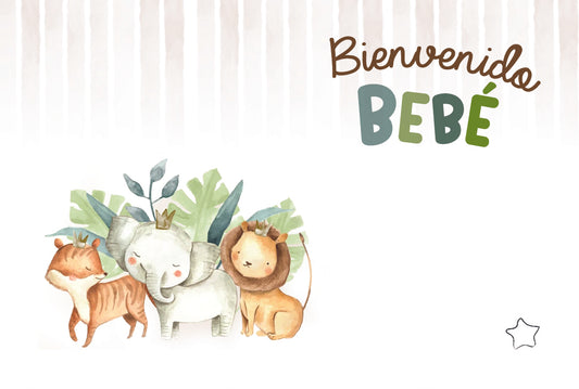 Tarjeta De-Para DPBB-100