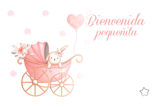 Tarjeta De-Para DPBB-102