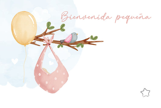 Tarjeta De-Para DPBB-108