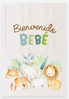 Tarjeta Baby Shower TBS-20