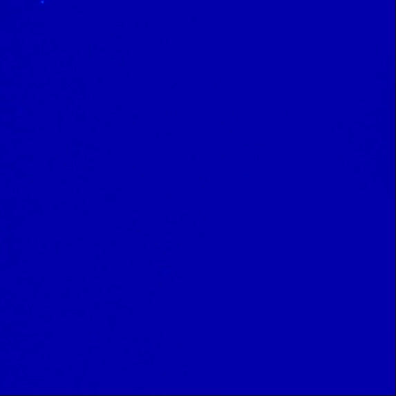 Papel de Regalo Sólido Azul Royal