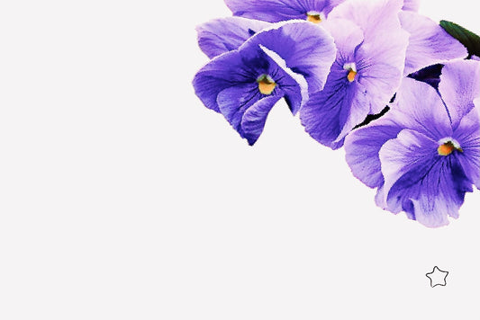 Tarjeta De-Para DPF-15