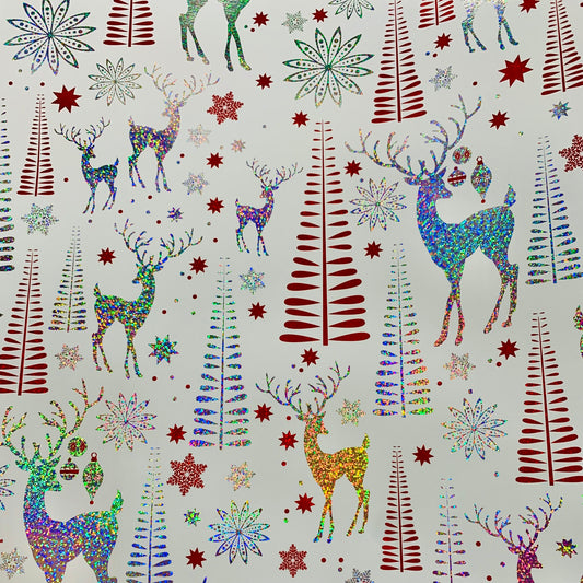 Papel de Regalo E5788